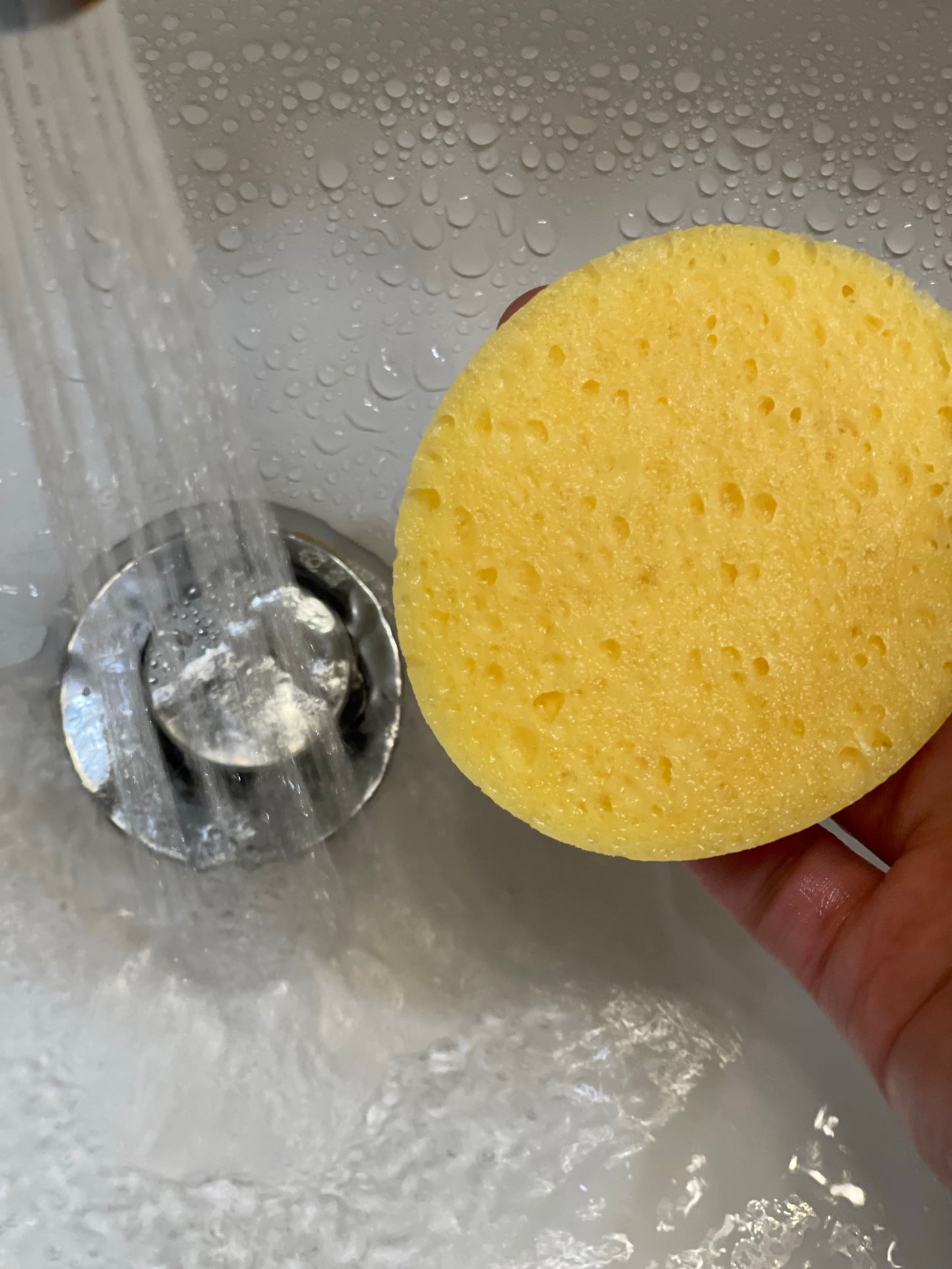 Face Wash Sponge