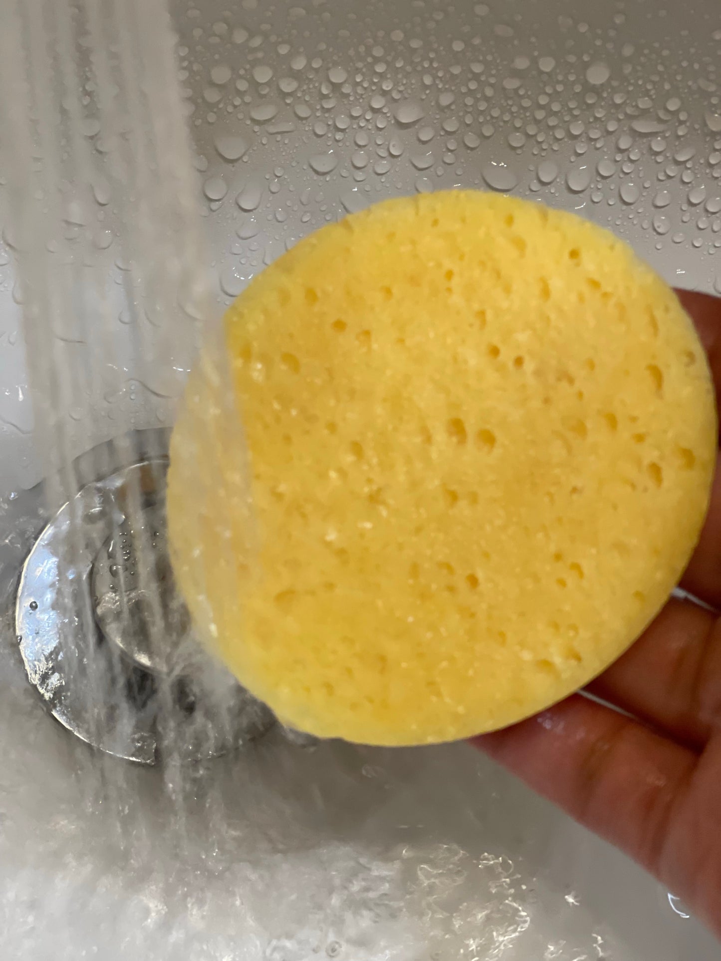 Face Wash Sponge